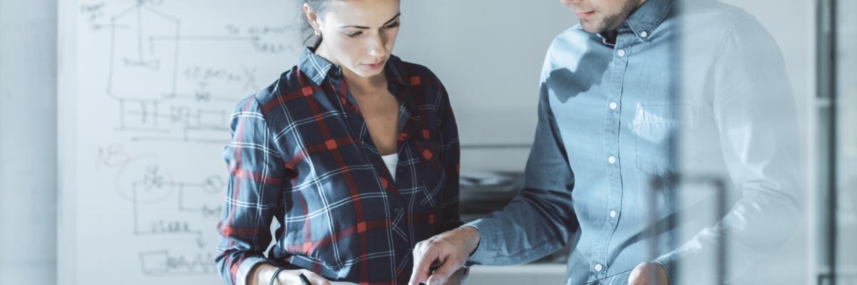 Expert Project Managers